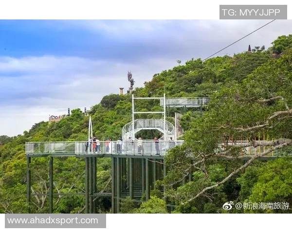 鸟栖沙岩对决湘南海洋激情碰撞期待精彩赛事全景回顾与分析