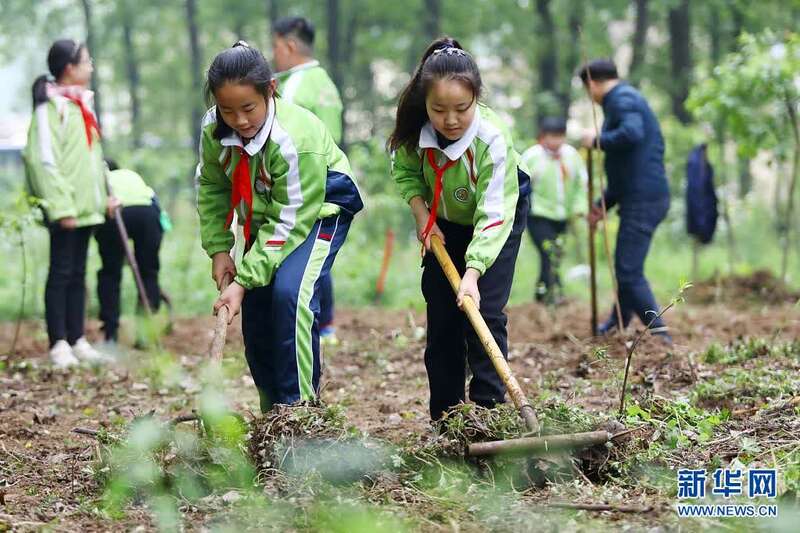 乐鱼app：户外劳动教室 练习劳动学问(图2)